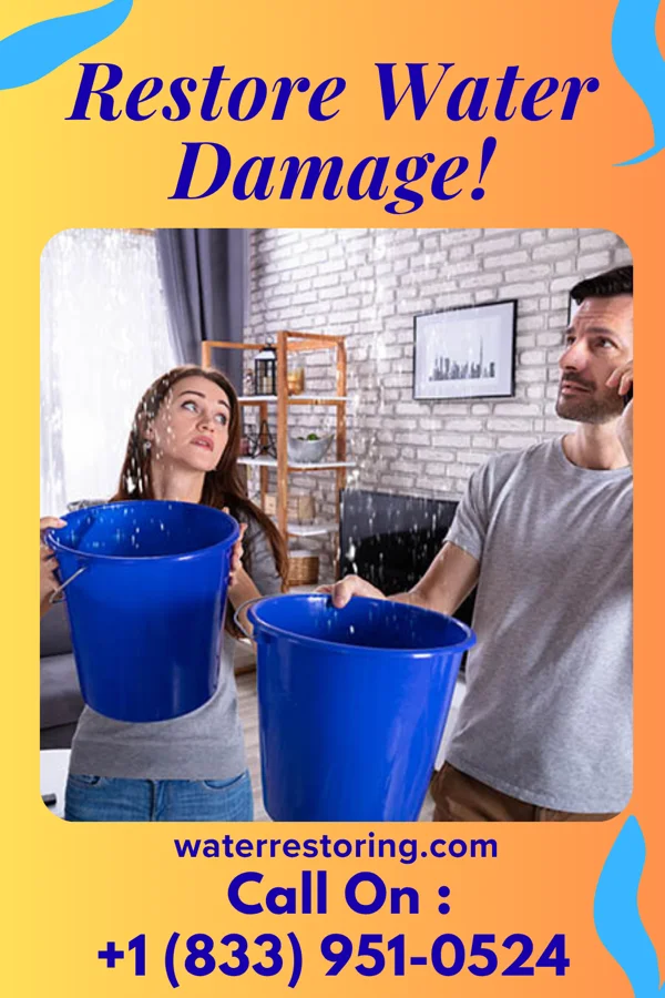 water restoration Reliable Sewage Cleanup Company Parkersburg