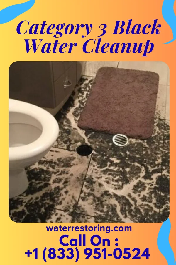 Category 3 Black Water Cleanup in Parkersburg, IL