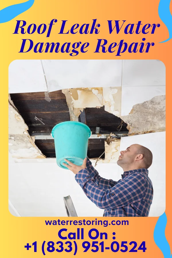 Roof Leak Water Damage Repair in Parkersburg, IL