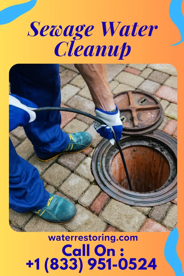 Sewage Water Cleanup in Parkersburg, IL